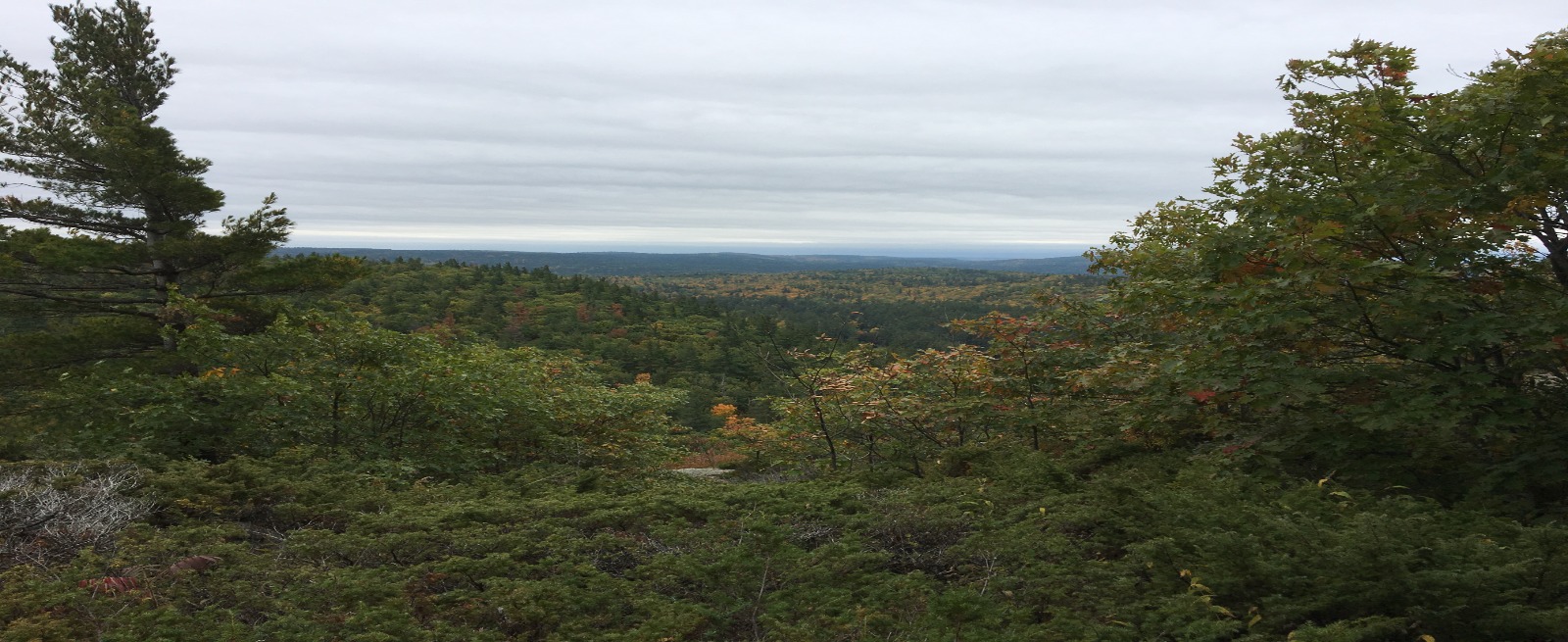 Mountain Top in Griffith