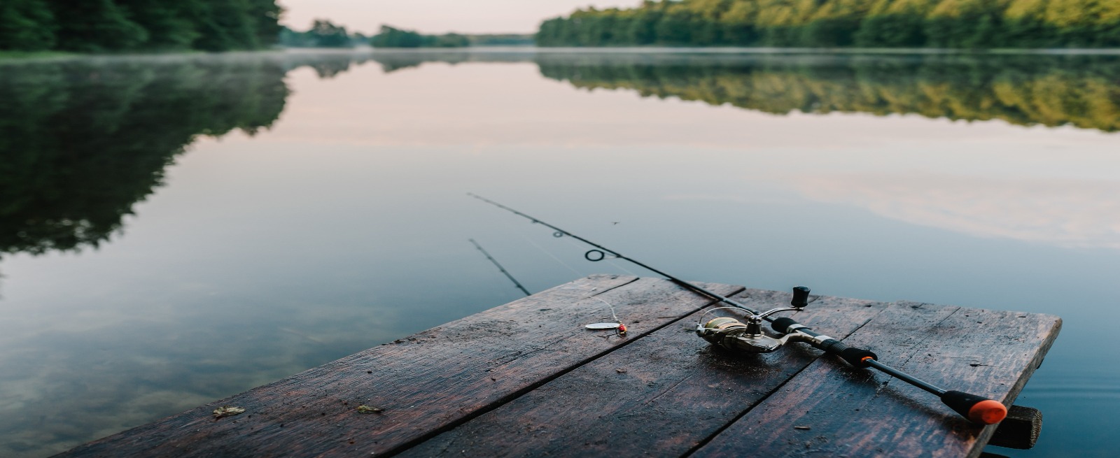 fishing rod on a dock