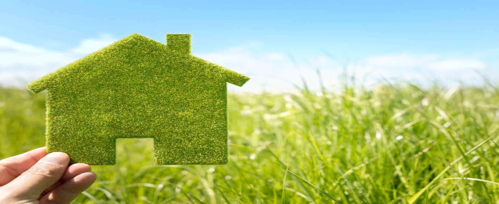 person holding a grass house