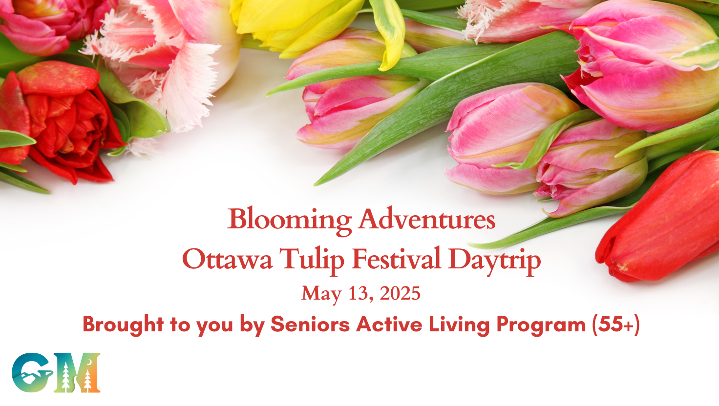 tulip festival day trip poster