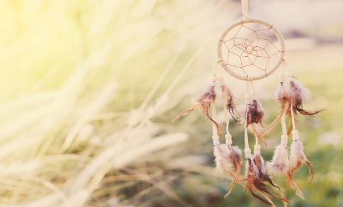 Dream catcher in a feild