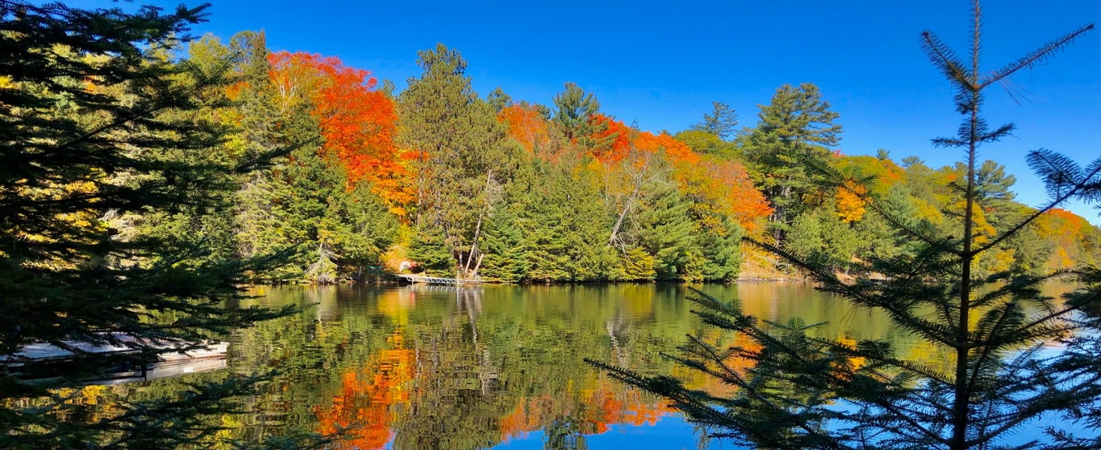 view of the lake in the fall