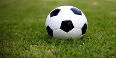 soccer ball on green grass